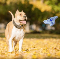 Toys de mancha de animais de estimação de pet squerinhas de boomerang interativos